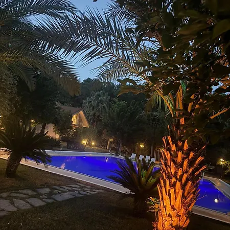 فيلة Amazonica Magic Dream كمر
